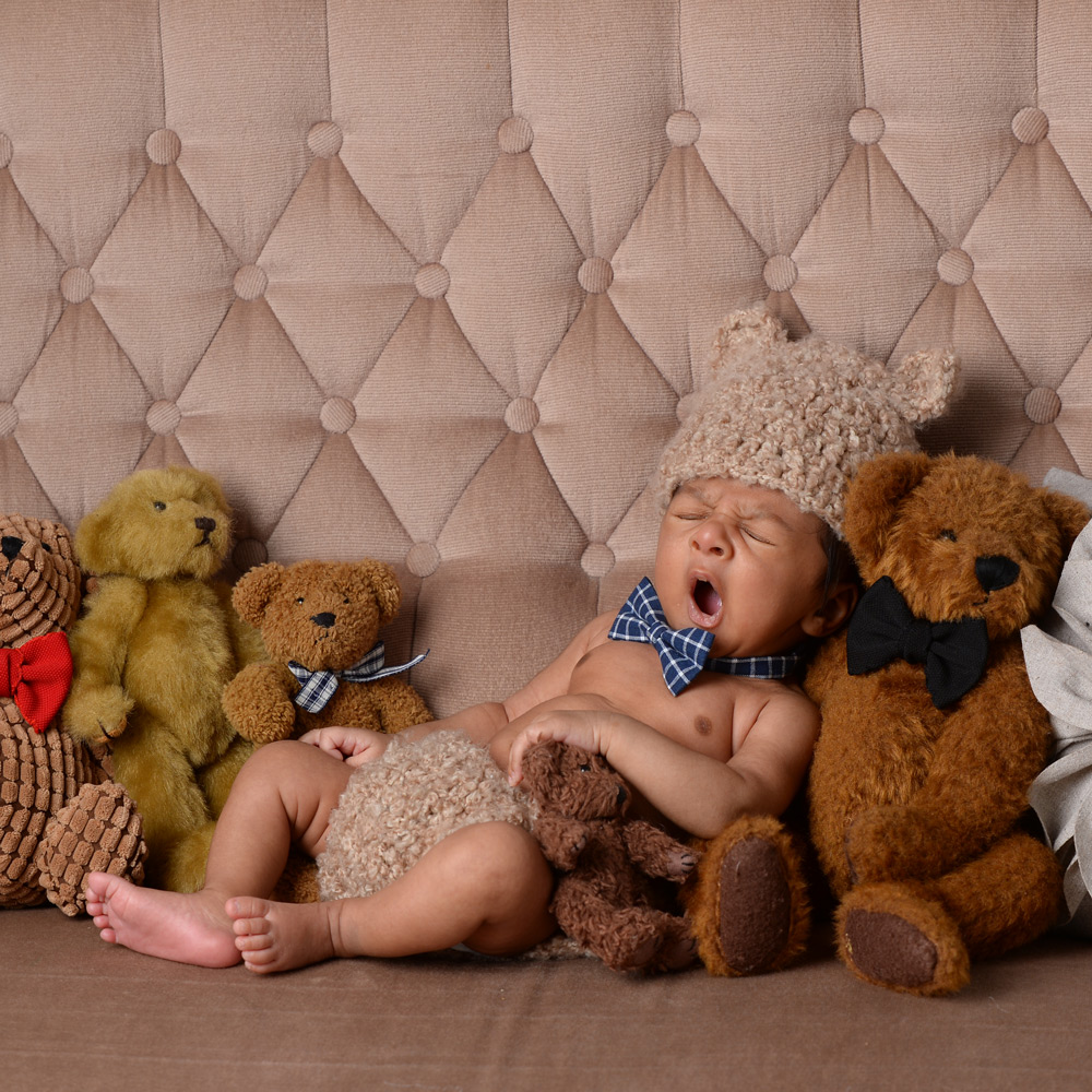 teddy-bear-photos